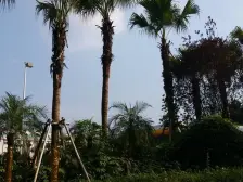 汽博旁 业主住家装修精装四房 目前诚心卖看房方便