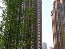 回兴 万科金域蓝湾四期三房136万