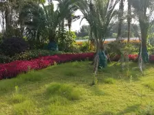 回兴 万科金域蓝湾一二期三房105万