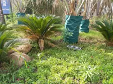 万科金域蓝湾 3室2厅 东南