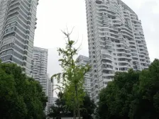 龙华·百汇园·3室·3厅
