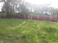 回兴 万科金域蓝湾一二期一房156万