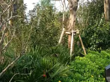 回兴 万科金域蓝湾一二期四房215万