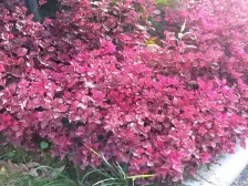 汽博精装4房,保养新,拎包入住,配套完善,出行方便