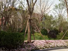 阳光城丽景公馆北苑 3室2厅 南