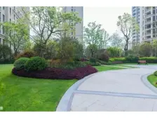 春泽园 视野开阔 采光充足 配套设施齐全 交通便捷