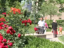 此房两室一厅 格局正规 无浪费 视野开阔