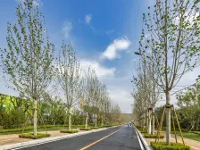 华润二十四城 1室2厅 南 北