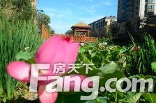 两室精装修楼层好小区自带泳池