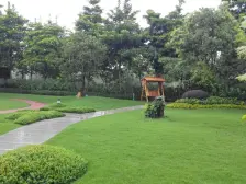 碧桂园珑远紫宸府 5室2厅 南