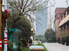 碧桂园龙城幸福里,户型方正, 全屋定制 楼层好