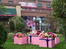 碧桂园龙城精装修,家具家电齐全,随时拎包入住