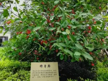 海德骏园 精装三房 急售 看房方便