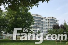 千叶花园城 3室2厅 南