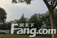 千叶花园城 经典户型 楼层好 采光好 生活便利