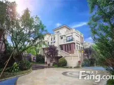 次新纯洋房 人见人爱 中庭楼樽 端头带花园