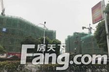 世纪凤凰城经典户型 楼层好 采光好 生活便利