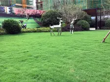 象湖滨江,户型通透,视野很好,楼层好