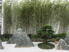 业主诚心出售,装修保养很好,有花园,户型方正