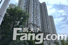 金东方旁双拼精装别墅院子好几个篮球场大