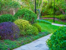 龙湖品质三室两南一北的卧室 精装通风好采光好 含车位