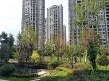 幸福时光一期 南北通透,采光好 视野好,诚心出售