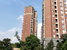 精装修两房 楼层位置好 可以读百树