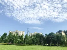 房子不带花园环境很好适合居家,总价低