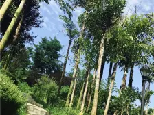 电梯房成熟小区 ,视野开阔,采光充足,交通便利