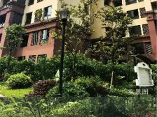 公园北 惊爆价电梯房 只要20万买两房