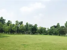 小区环境很好,楼间距宽,住家清净