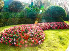 品质小区精装三室,南北通透好户型