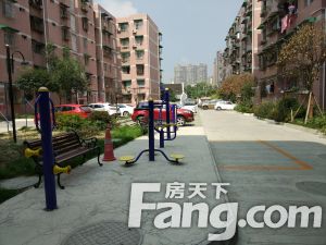 神仙树小区 3室2厅 东