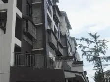 西蜀祥瑞府 3室1厅 东南