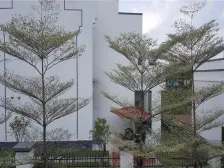 恒大江湾 大三房中高楼层 随时看房