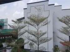 恒大精装两房两厅一卫,户型方正通透,通风好,楼龄新