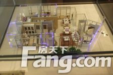 峰景台大3房2厅2卫看莲湖荷花。