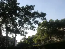 峰景台4房2厅2卫中高楼层通透使用率高