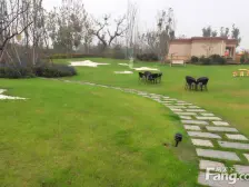 此房属于双拼别墅 户型采光充足 实用面积广 大院 子