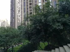 梧桐公馆 梧桐郡 龙头寺 狮子坪 带 露台 品质小区