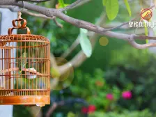 映月台中式别院141平有天有地