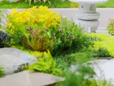 此房业主诚心出售东莞少见的中式庭院别墅