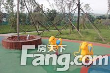 房源为南北通透正规h格局两室明厅的房子楼层采光好。