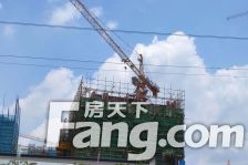 东城碧桂园 3室2厅 南