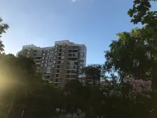 保利精典一房 无增值税 首付低 诚心卖