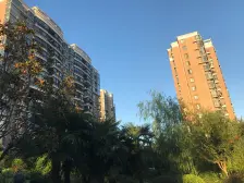 中间楼层,飞机户型,采光视野好,诚意出售,店长推荐