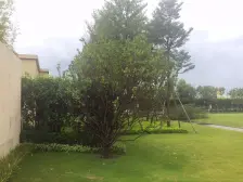 无抵押优质三房,采光好舒适宜居