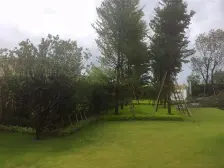 保利海棠大三房 楼层高 景观好 诚心出售 价格好谈