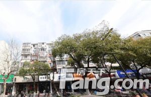 红星小区 5室2厅 南