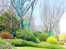 好户型 三朝南 错层双阳台 此房位置前后绿化景观好